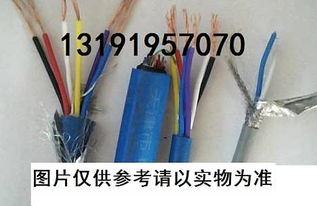 天津電纜廠一分廠 高質(zhì)量通信電纜與通訊電纜的最新市場(chǎng)供求分析